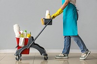 Professional Cleaning Services